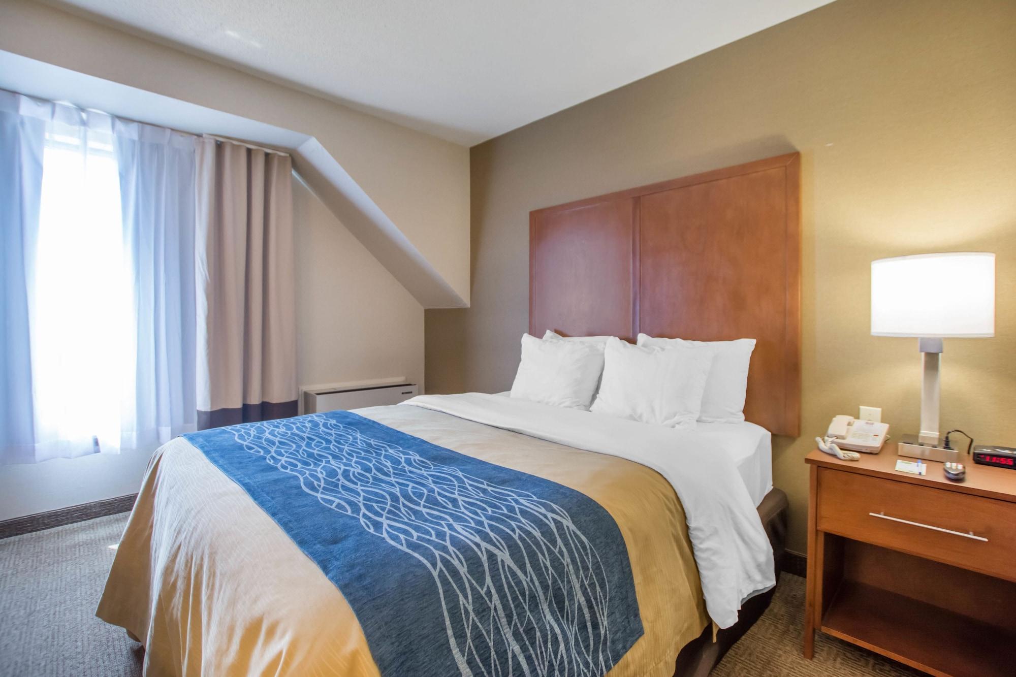 Comfort Inn Bathurst Eksteriør bilde